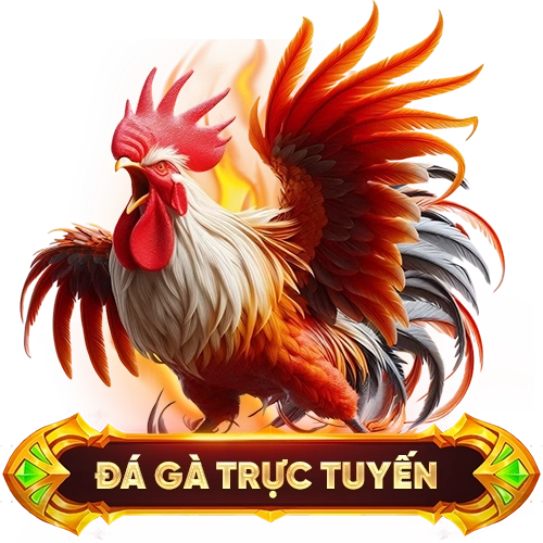 đá gà trực tuyến WE88